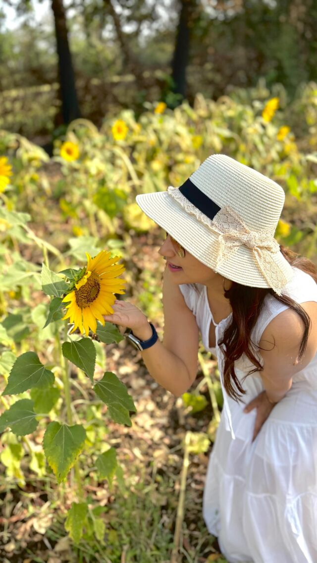 Lucky to witness seasons last Sunflower Field in full glory!🌻
2.5hrs from Mumbai!

📍DM for location! 

#travelgram #instatravel #instapic #travelblogger #followme #travelblogger #neverstopexploring #traveldiaries  #wanderlustsoul #globetrotting365days #globetrottinggirl #follow365days #worldtraveller #girlwhotravels #mountains #travelindia #weekend #wanderlustsoul #photooftheday #instaphotography #trails #exploring #Sunflowerfield #sunflowerlove #hiddengem #mumbaiblogger