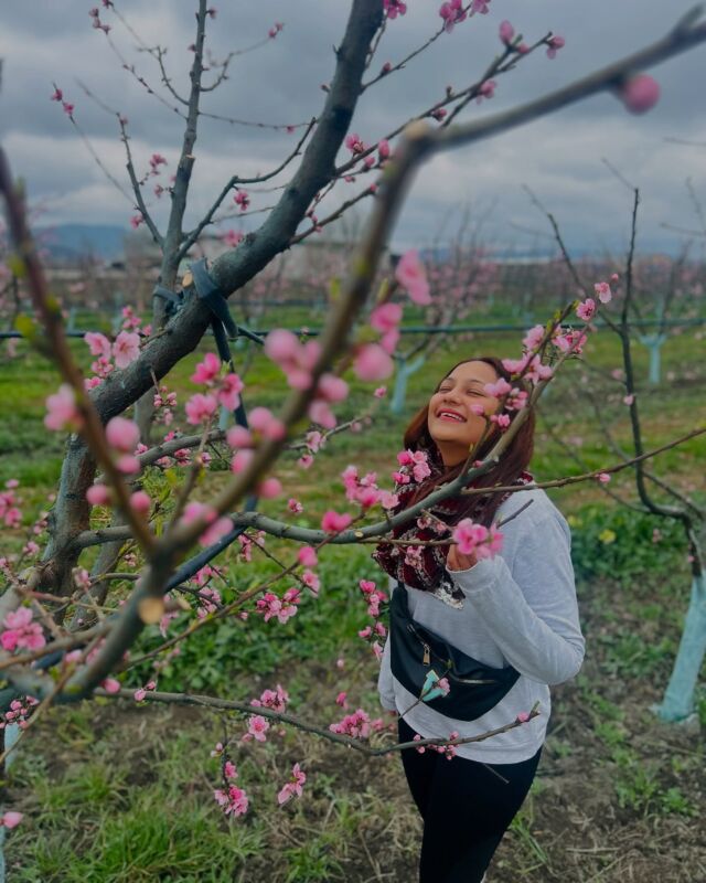 Reminder to bloom again even after the harshest days! Because nothing lasts forever, not even us! 

#travelgram #instatravel #instapic #travelblogger #followme #travelblogger #neverstopexploring #traveldiaries  #wanderlustsoul #globetrotting365days #globetrottinggirl #follow365days #worldtraveller #girlwhotravels #mountains #travelindia #weekend #wanderlustsoul #photooftheday #instaphotography #trails #exploring #Blossom #cherryblossom #spring