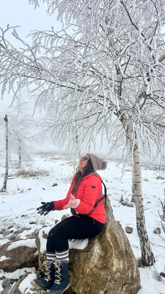 When the right travels take you to right places! Do you also plan your travels the same way?

#travelgram #instatravel #instapic #travelblogger #followme #travelblogger #neverstopexploring #traveldiaries  #wanderlustsoul #globetrotting365days #globetrottinggirl #follow365days #worldtraveller #girlwhotravels #mountains #travelindia #weekend #wanderlustsoul #photooftheday #instaphotography #trails #exploring #snow #snowmountain #winter #shahdag #baku #azerbaijan🇦🇿 #azerbaijantravel